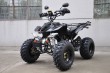 Raptor Shineray 200cc con 10